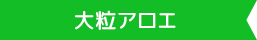 ライトタイプ リボン