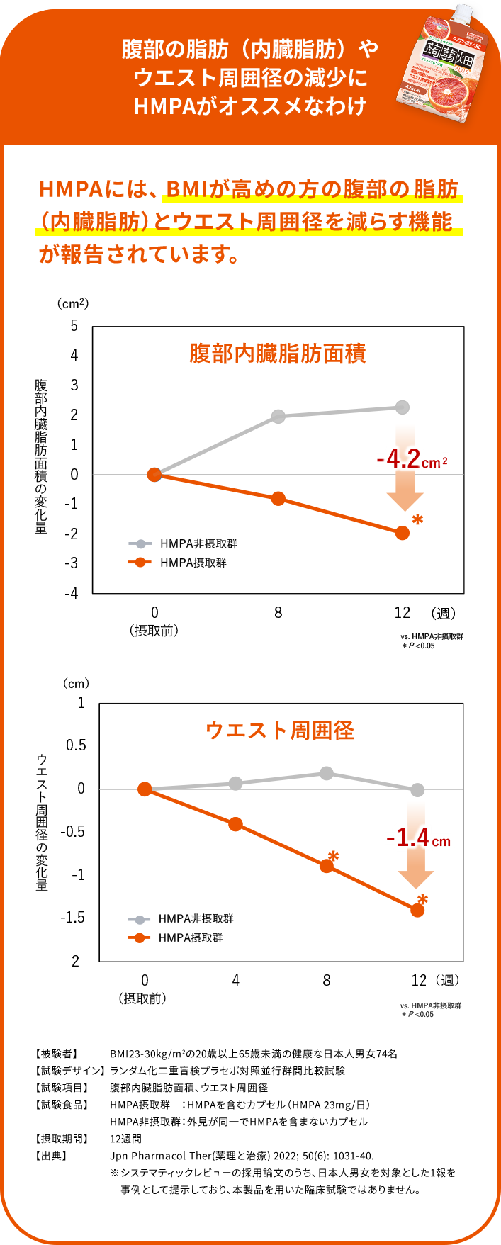 腹部の脂肪（内臓脂肪）やウエスト周囲径の減少にアクティボディ®RBがオススメなわけ