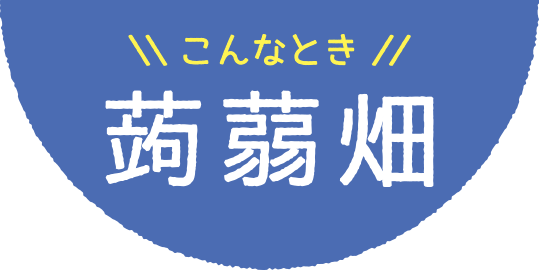 こんなとき、蒟蒻畑