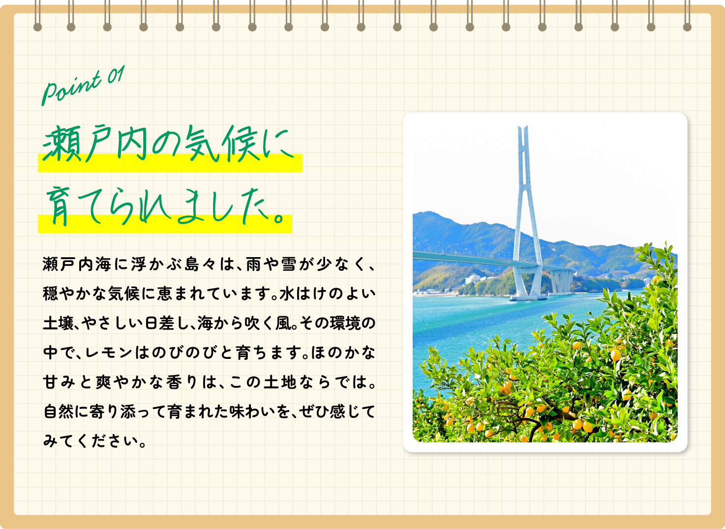 瀬戸内海の気候に育てられました。