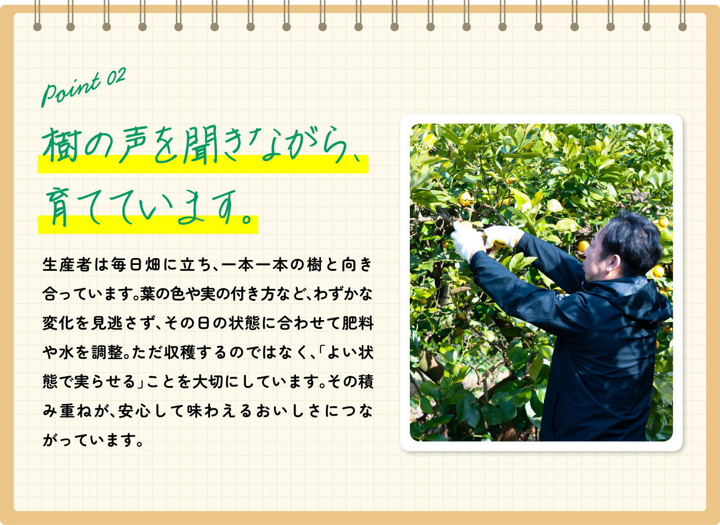 樹の声を聞きながら、育てています。
