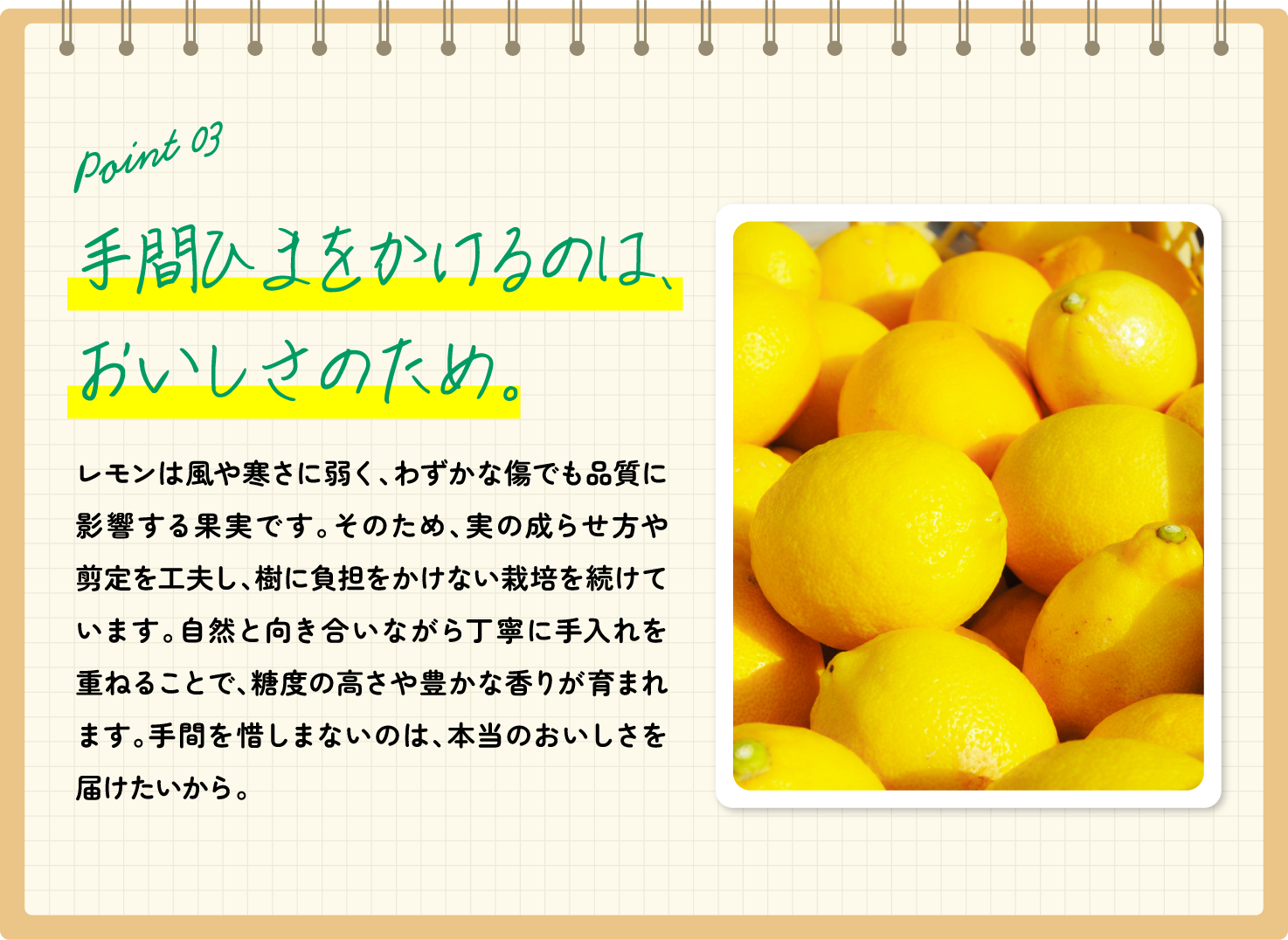 手間ひまをかけるのは、おいしさのため。