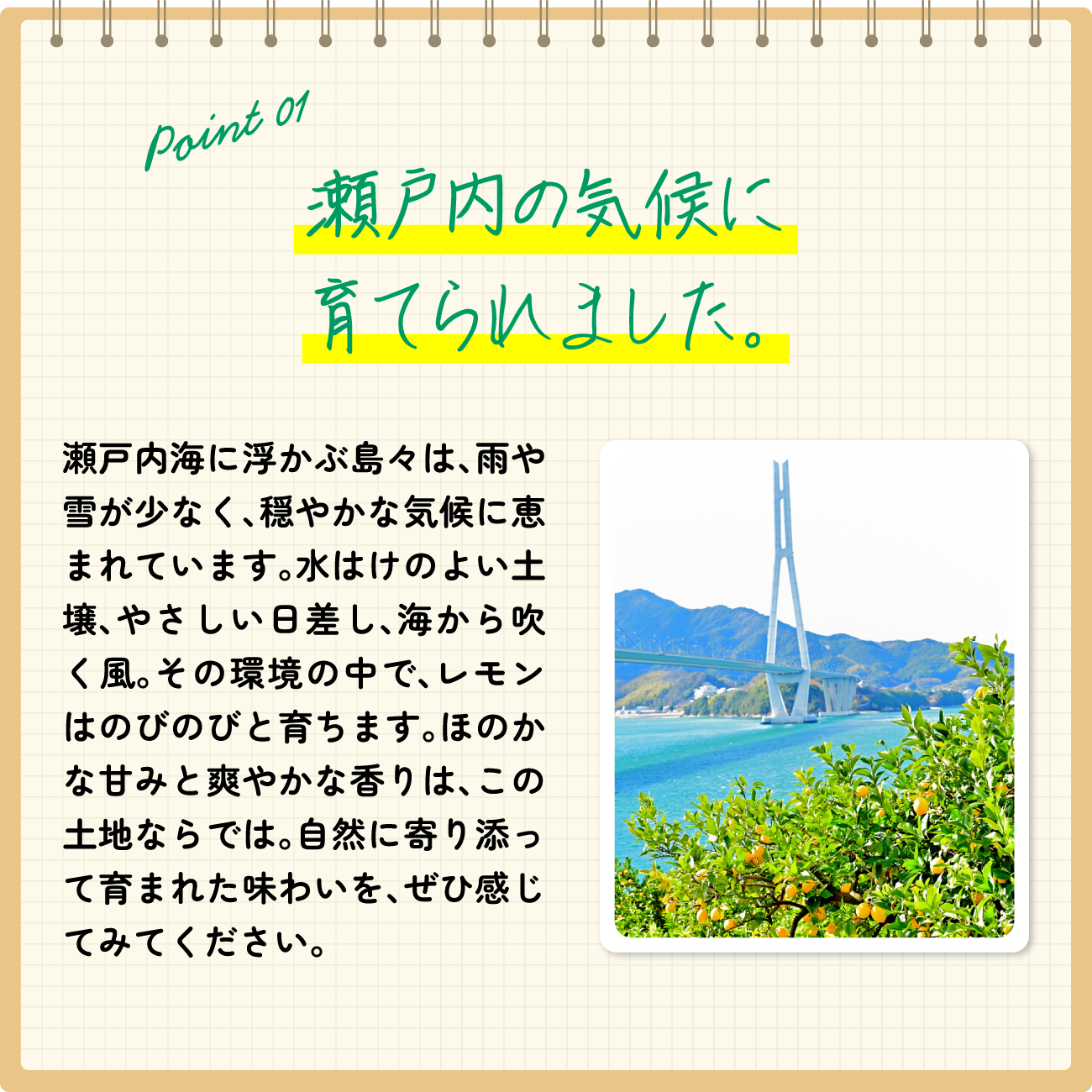 瀬戸内海の気候に育てられました。