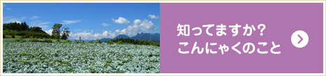 こんにゃくワールド
