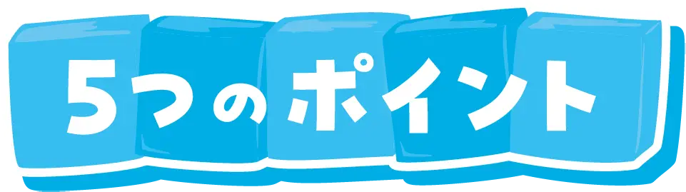 5つのポイント