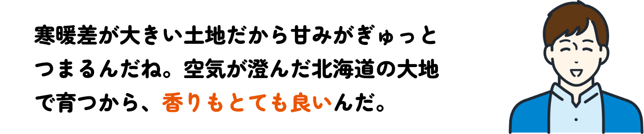空気が澄んだ北海道の大地で育つから、香りがとても良い