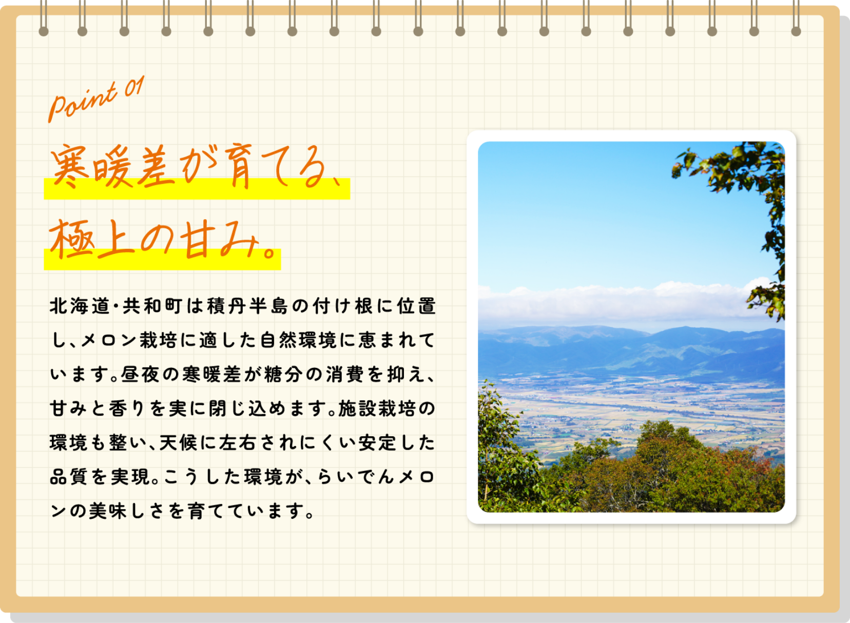 寒暖差が育てる、極上の甘み。