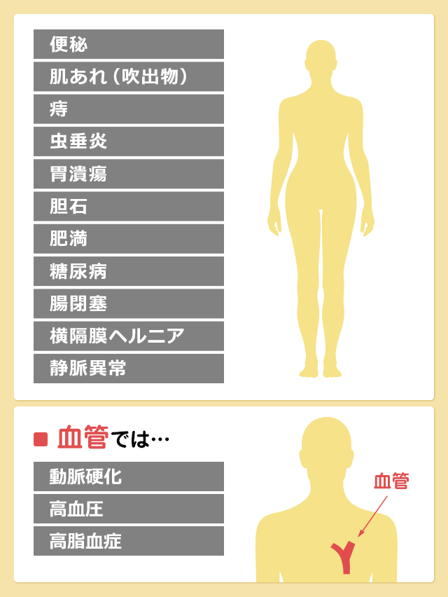 食物繊維のチカラ 知る 学ぶ 株式会社マンナンライフ